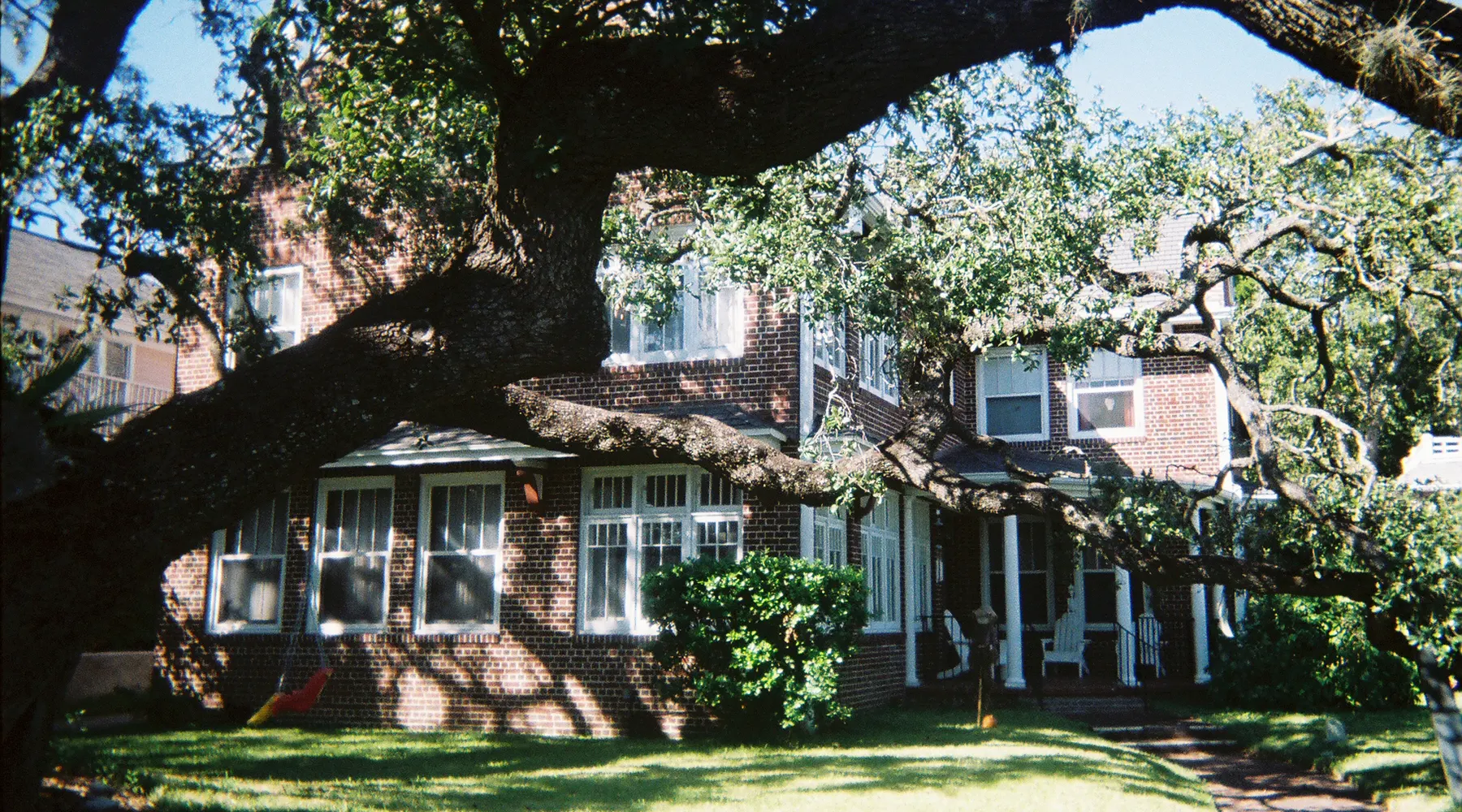 A brick house under a live oak in Tampa's Hyde Park historic district
